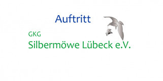 Silbermöwe - Auftritt | Foto: Silbermöwe