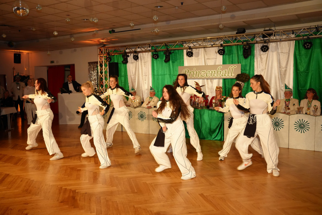 Silbermöwe | Foto: Silbermöwe