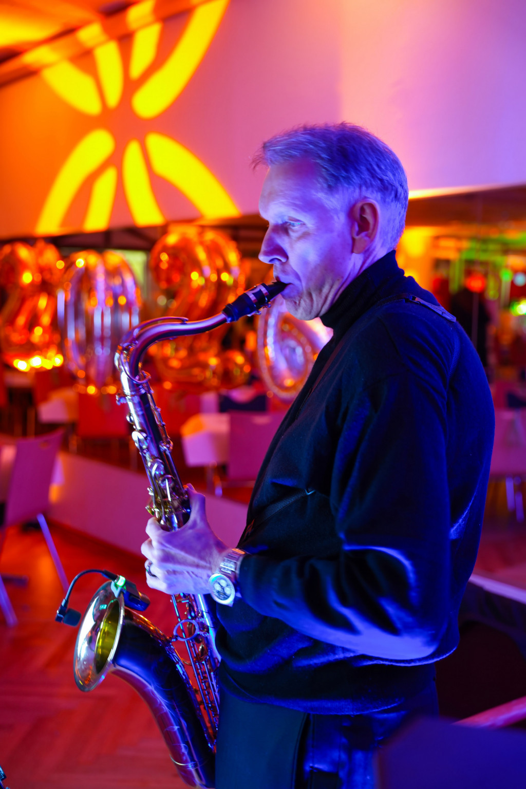 Silbermöwe | Foto: Silbermöwe