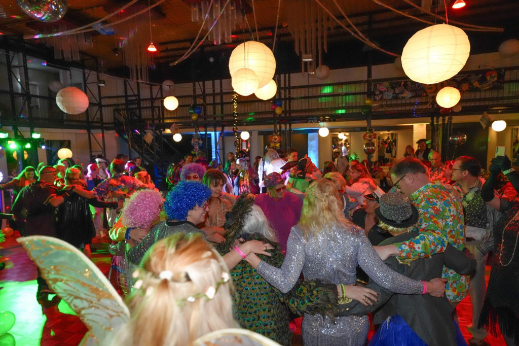 Silbermöwe | Foto: Silbermöwe