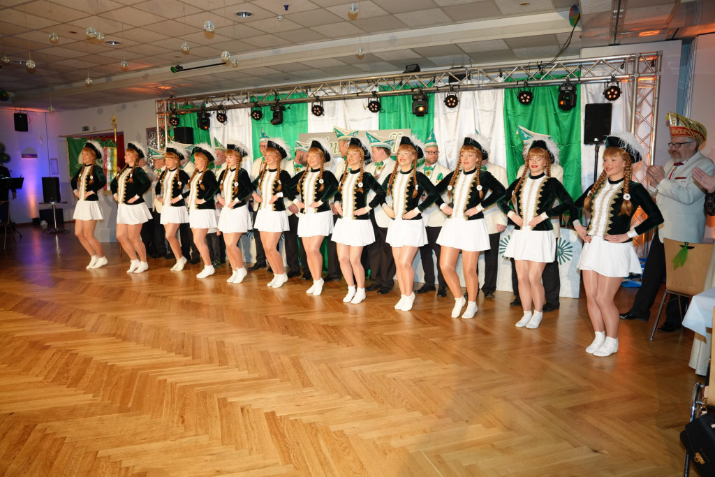 Silbermöwe | Foto: Silbermöwe